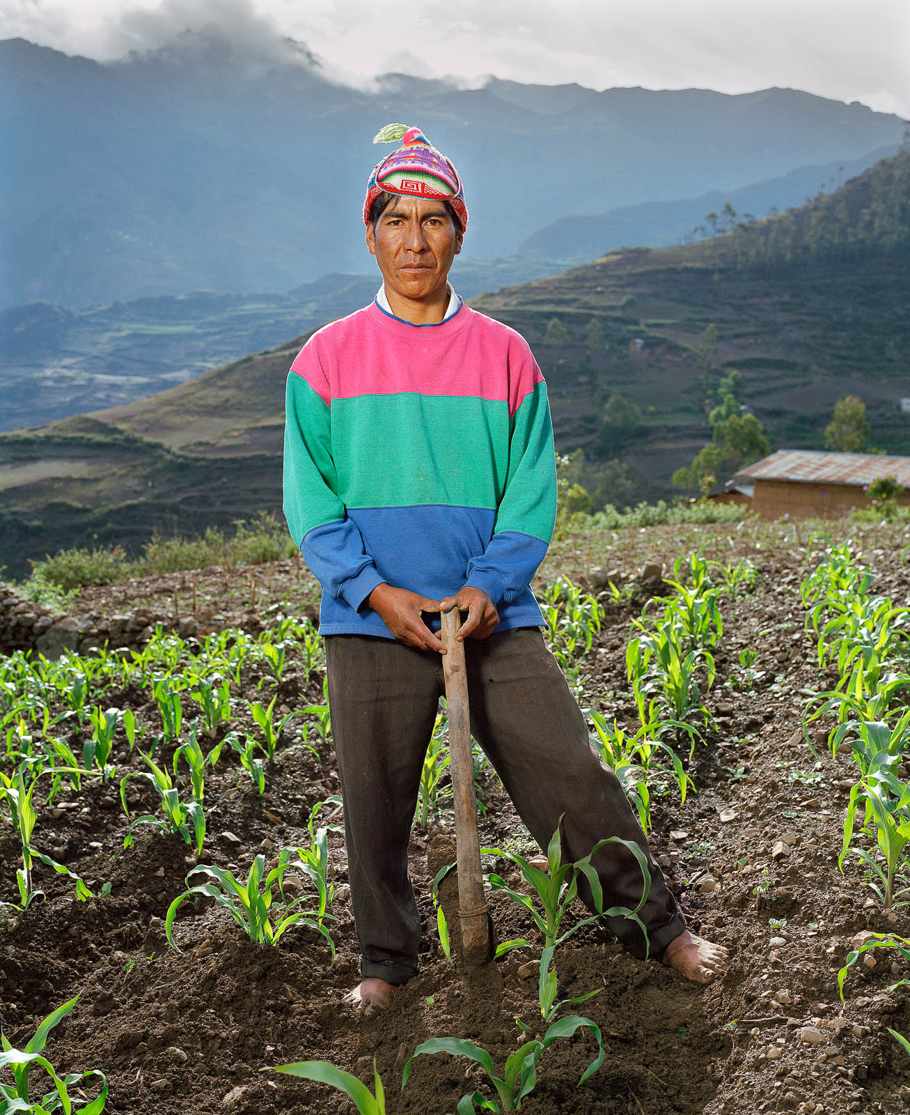 Bolivia chipo 13
