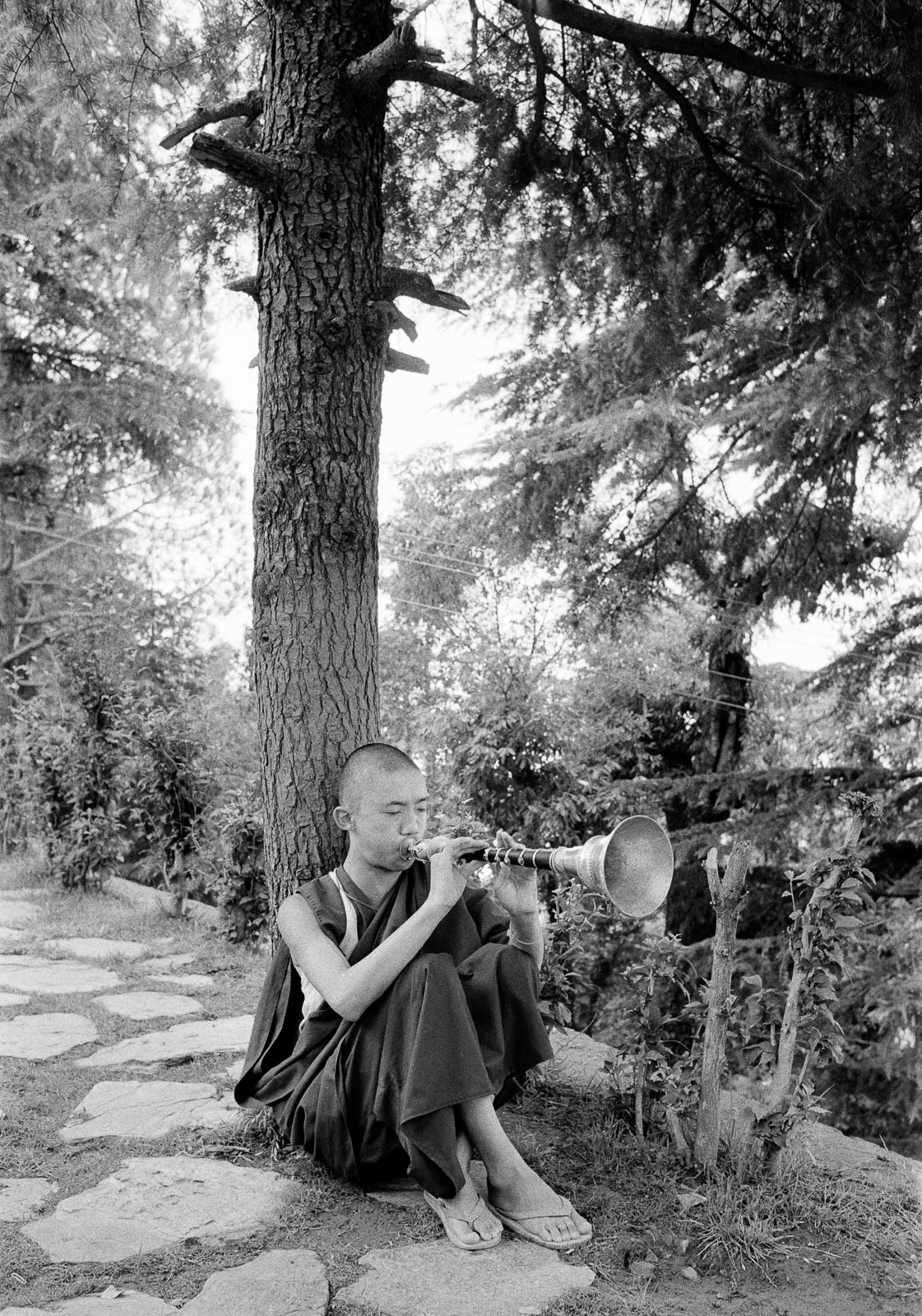 Tibetans in dharmsala 8