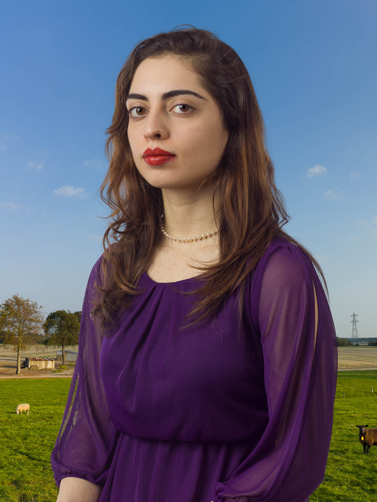 Mona lisa olandese 5