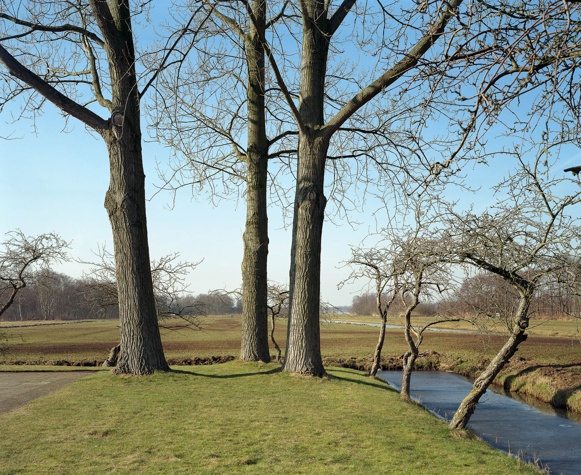 Wijdemeren
