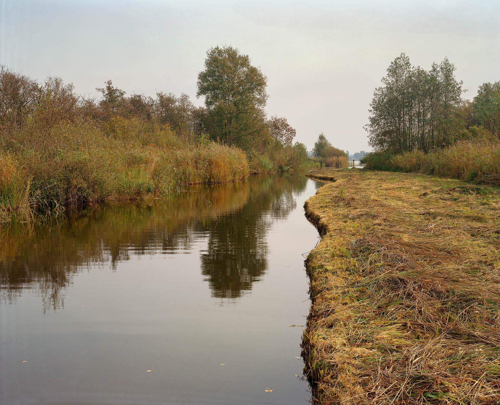 Wijdemeren 5
