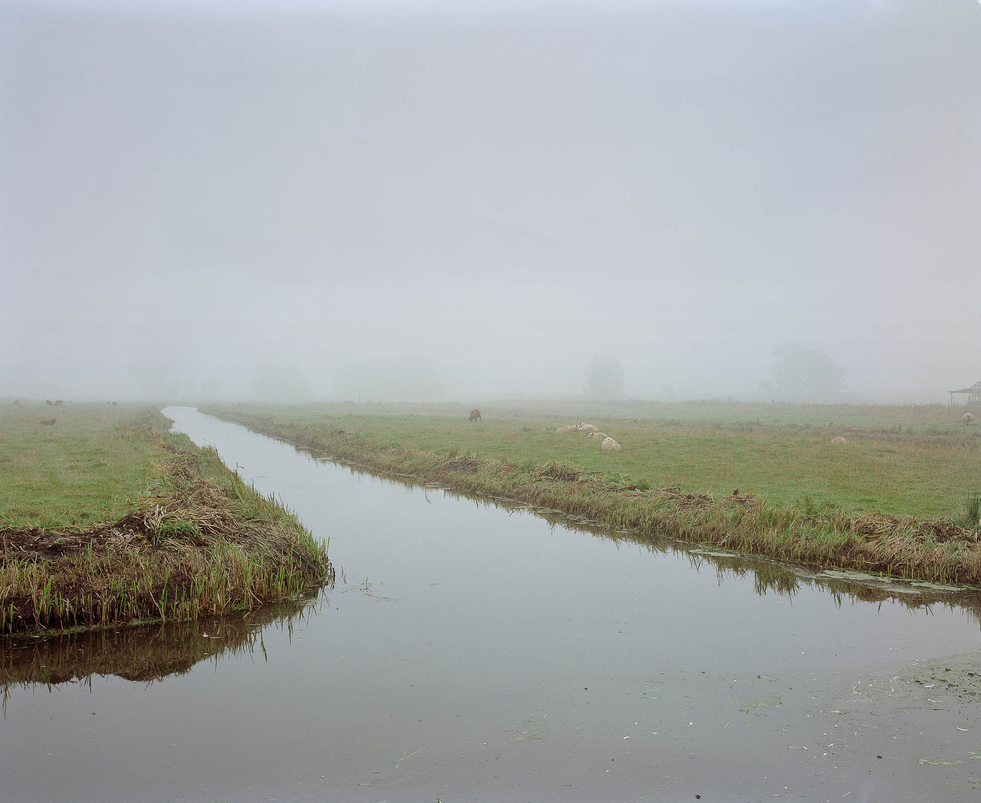 Wijdemeren 8
